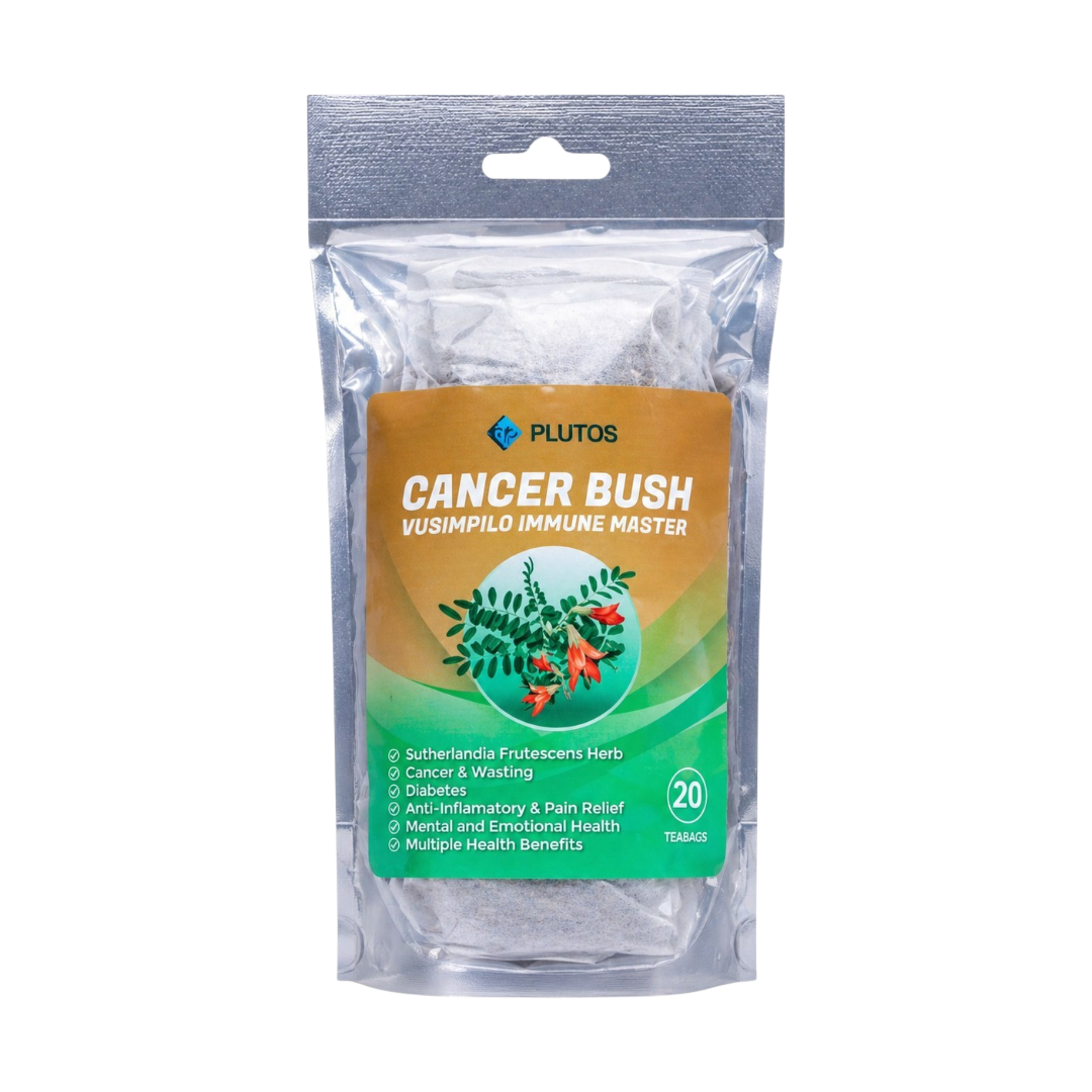 Cancer Bush – Vusimpilo Immune Master Tea | 20 Teabags