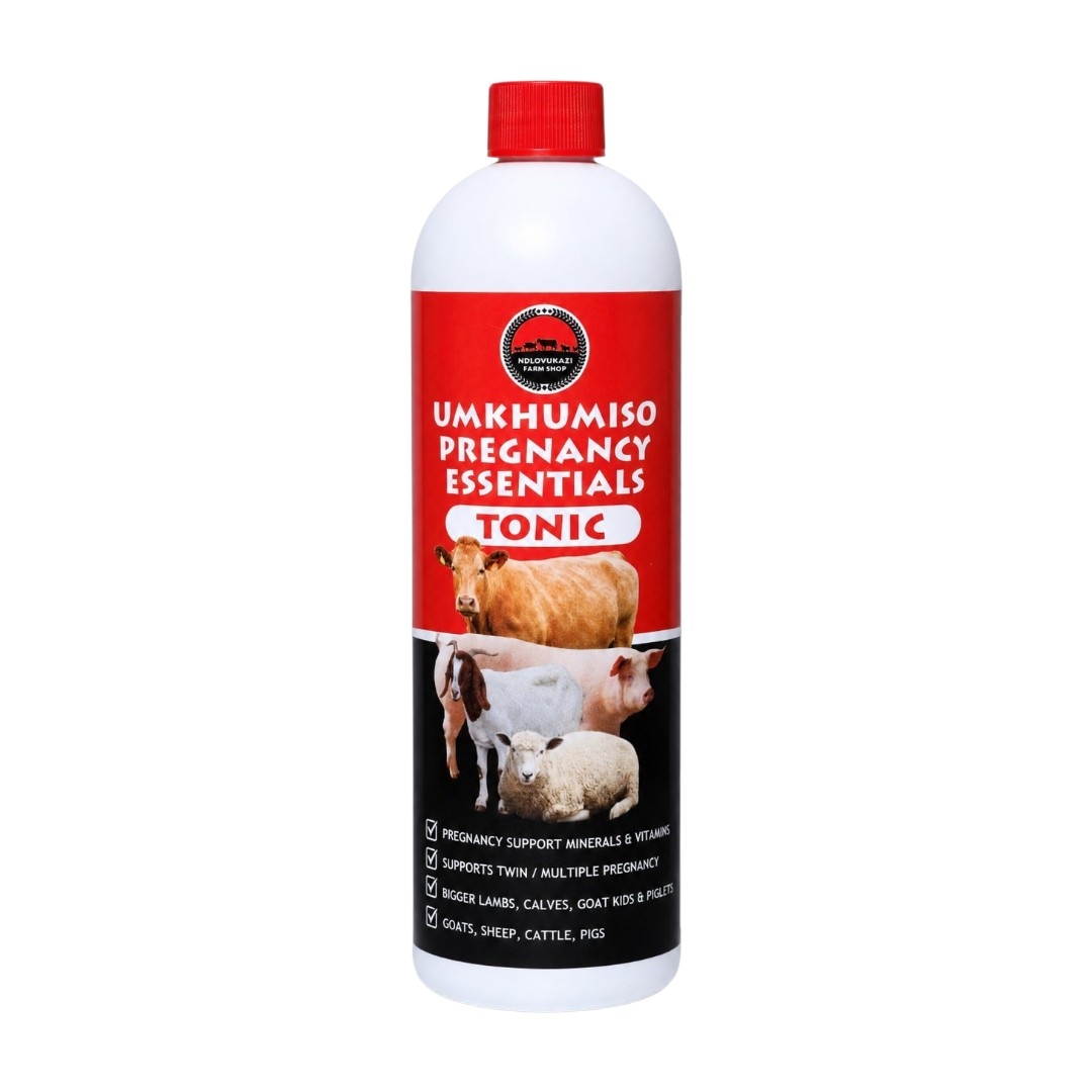 Umkhumiso Pregnancy Essentials Tonic – 500ml